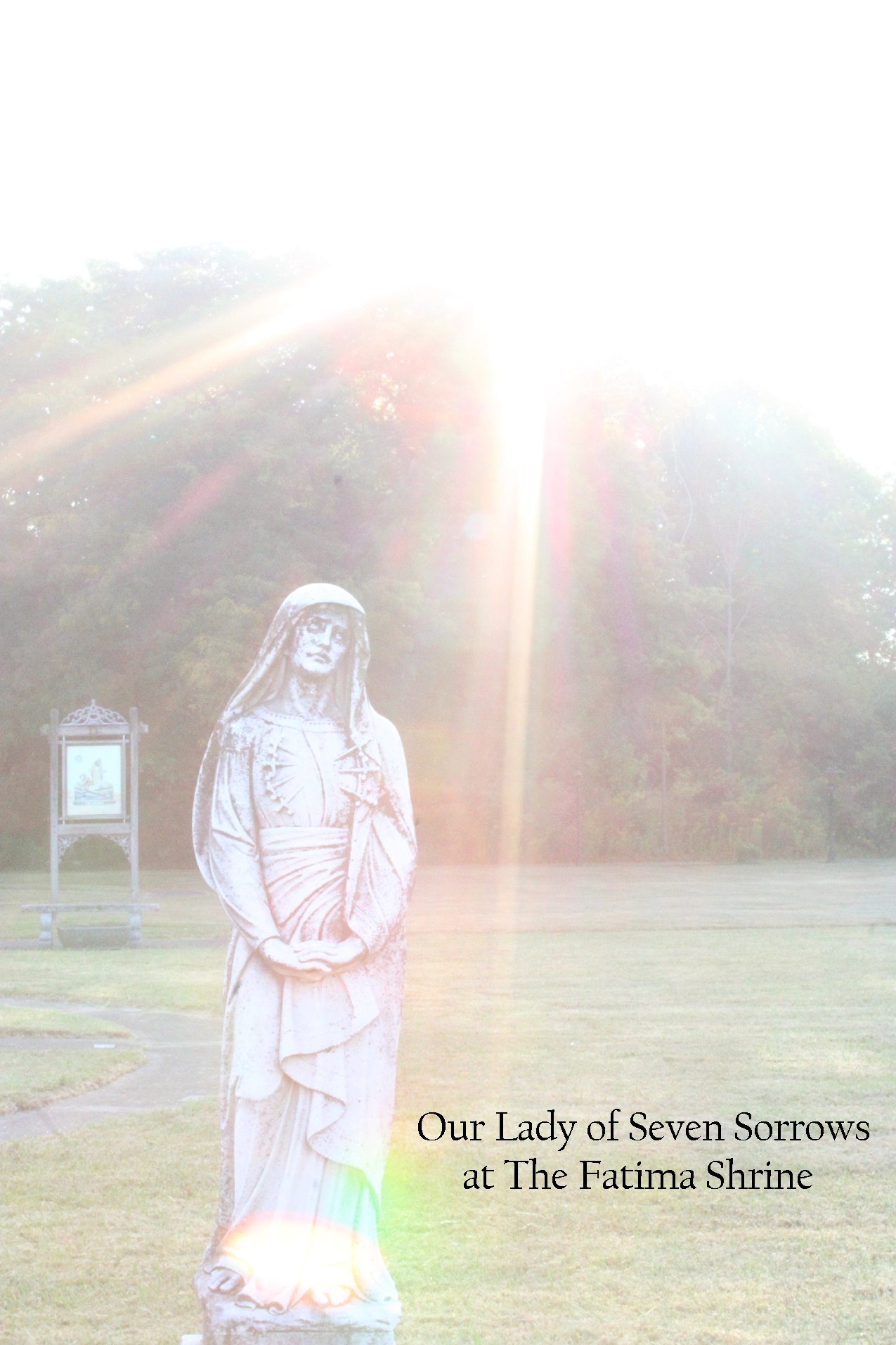 Read more about the article The Seven Sorrows of Mary