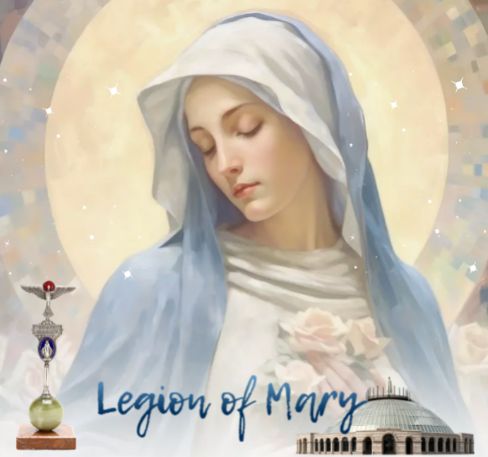 Read more about the article Beneath The Standard of Mary III